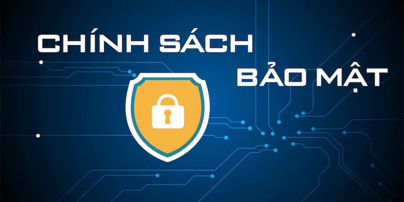Vai trò của chính sách