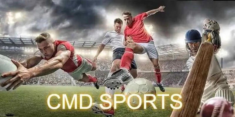 Chủ động tìm hiểu thông tin về hai đội trước khi ra sân