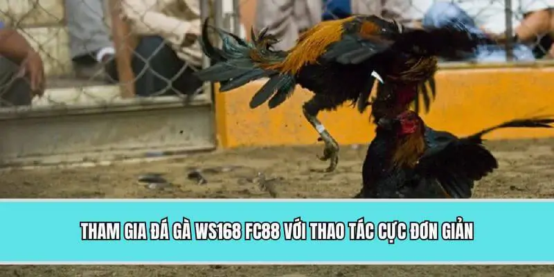 Tham gia đá gà WS168 FC88 với thao tác cực đơn giản