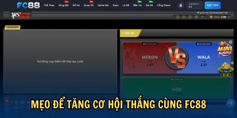 Mẹo để tăng cơ hội thắng cùng FC88