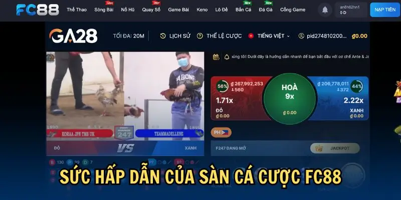 Sức hấp dẫn của sàn cá cược FC88