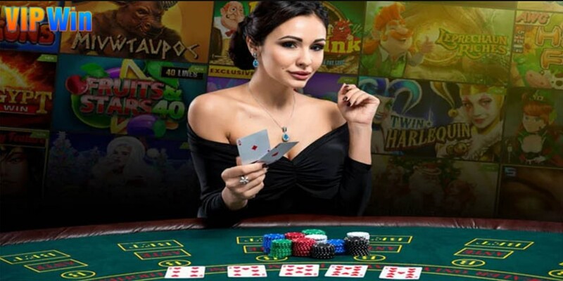 Giới thiệu các đặc điểm của VIPWIN