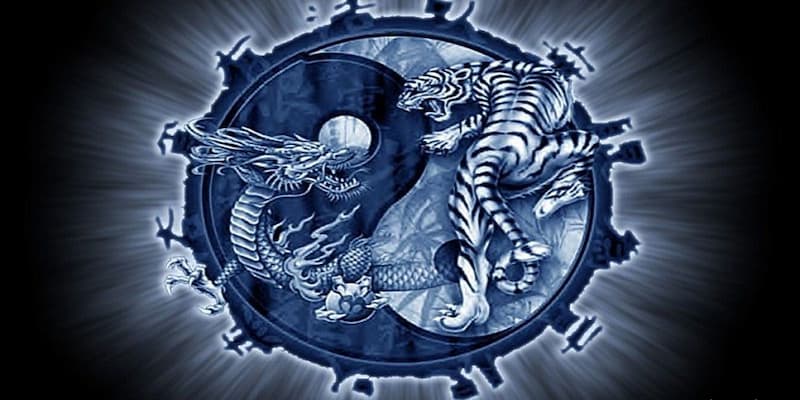 Thuật ngữ rồng hổ fc88