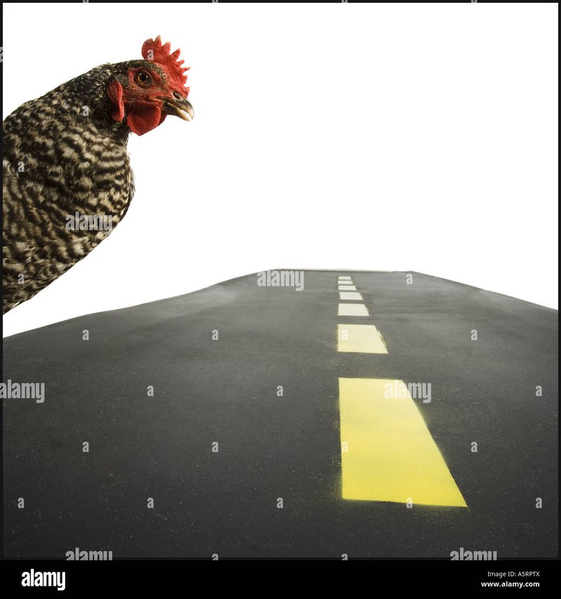 Chicken road oficial in Spain